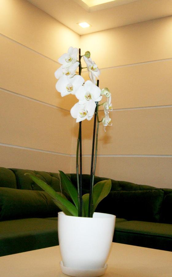 Apartment Jasmine 2 ベオグラード エクステリア 写真